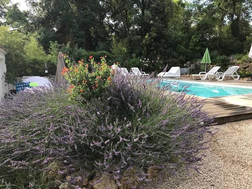 Villa Oha Close Cannes,Nice, Valbonne , Opio Roquefort-les-Pins Extérieur photo